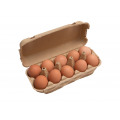 vajcia voľný chov - 10ks.jpg